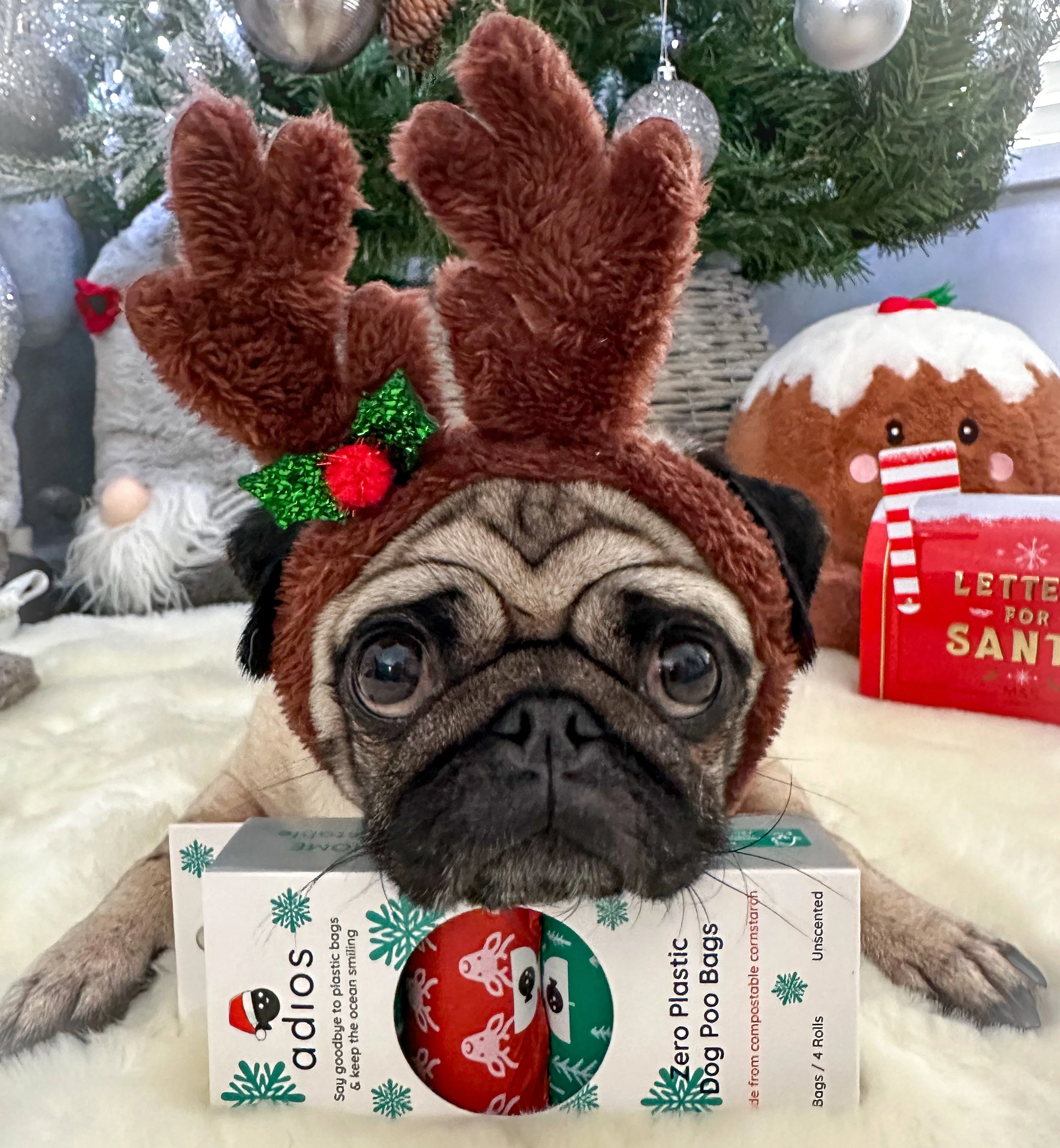 🎄 Adios Plastic Christmas - 4 Rolls – 60 Bags - Image 14