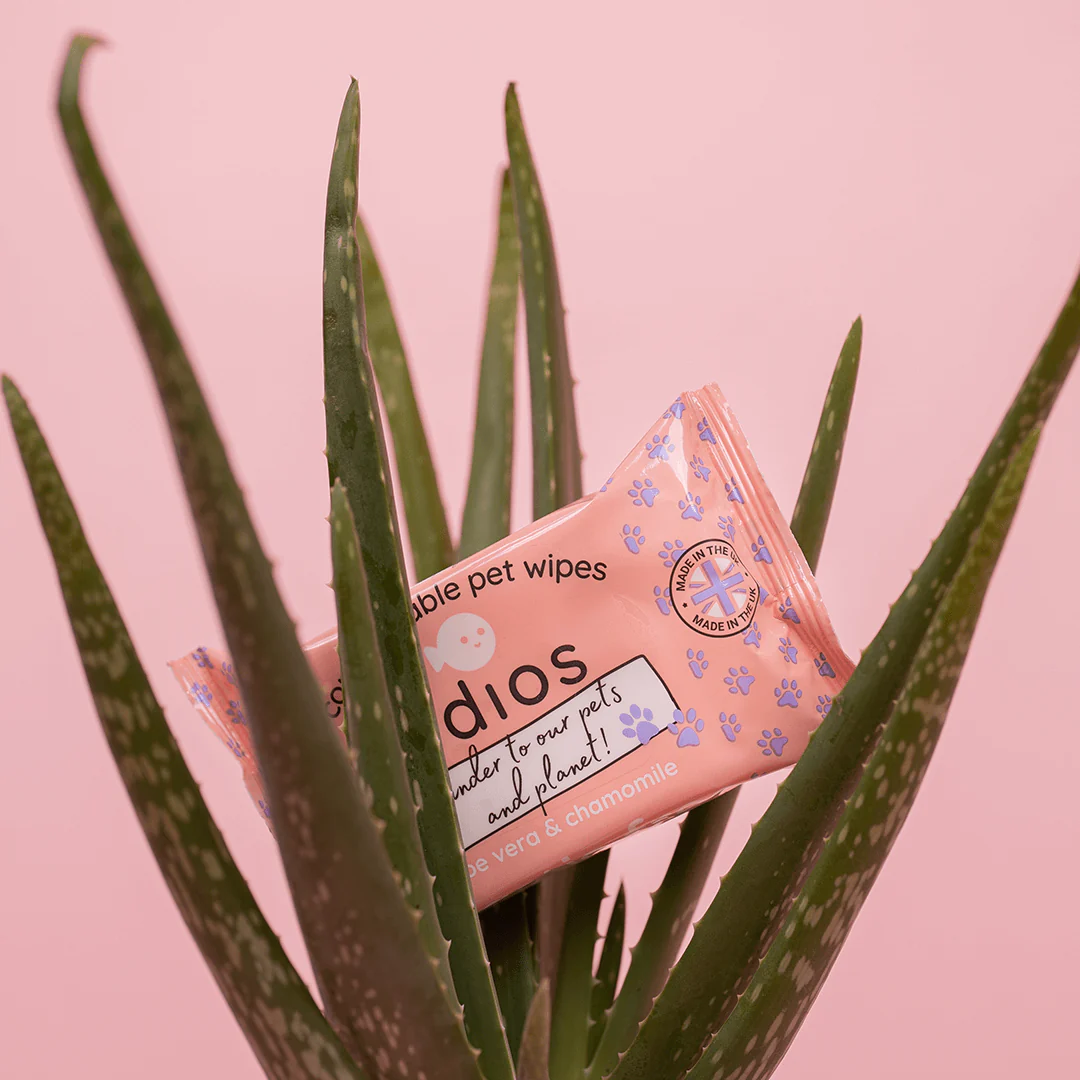 🌱 Compostable Pet Wipes 🐶🐾 - Image 11