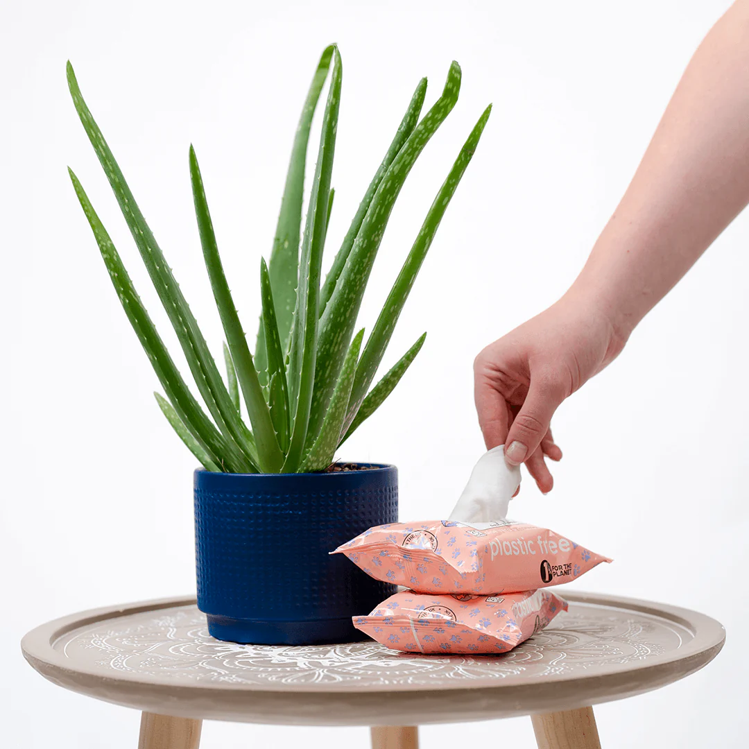 Compostable Pet Wipes 25pk - Image 13