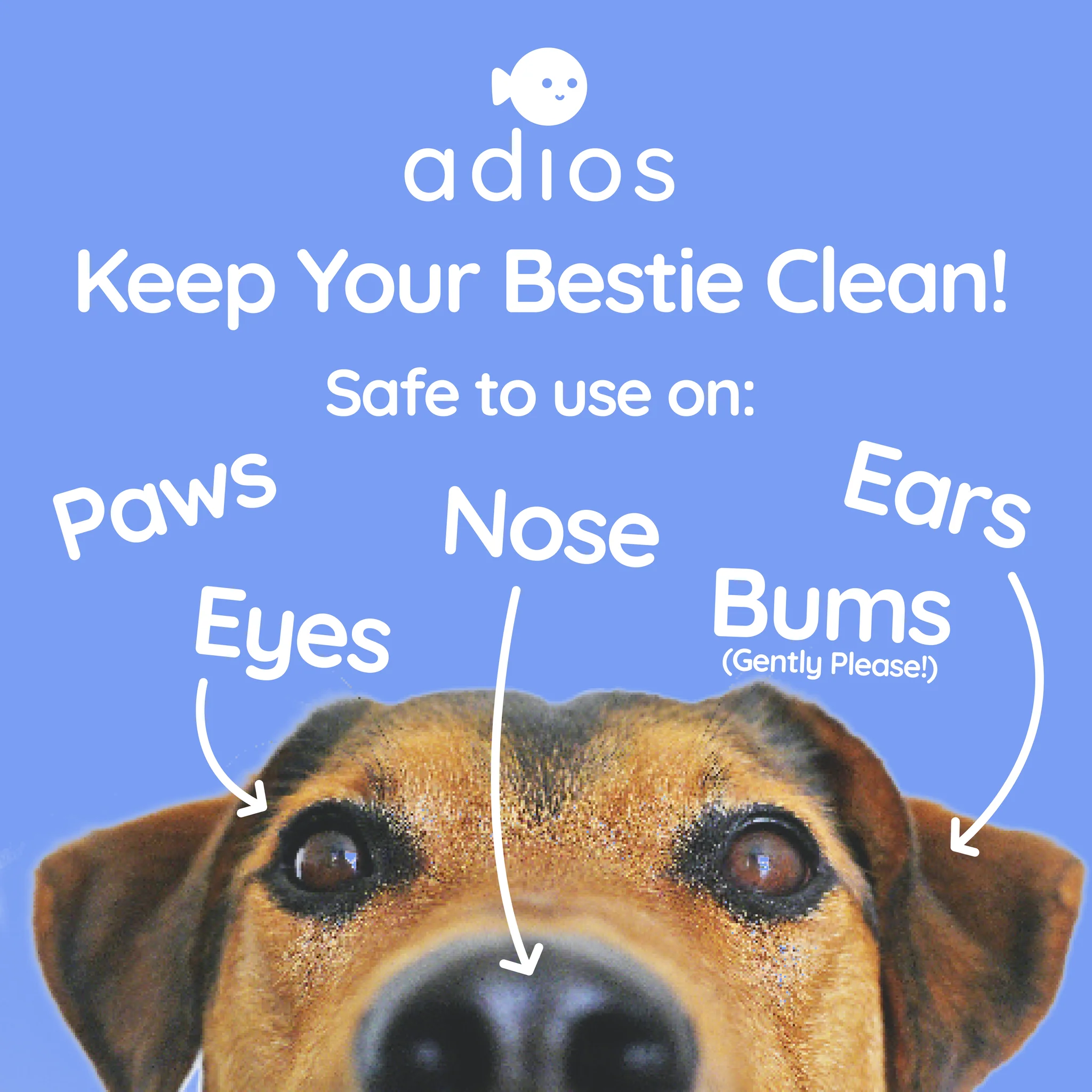 🌱 Compostable Pet Wipes 🐶🐾 - Image 3