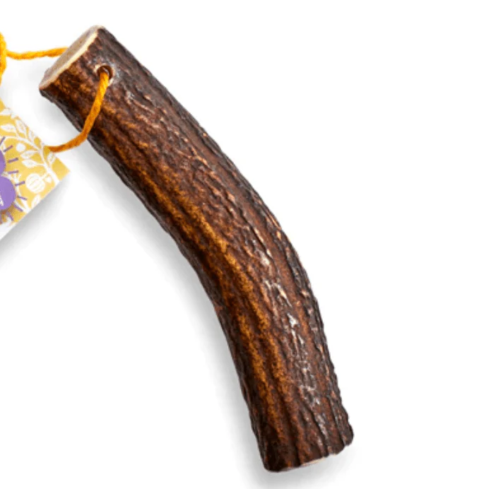 🦌 Original Antler Chew 🐾 - Image 3