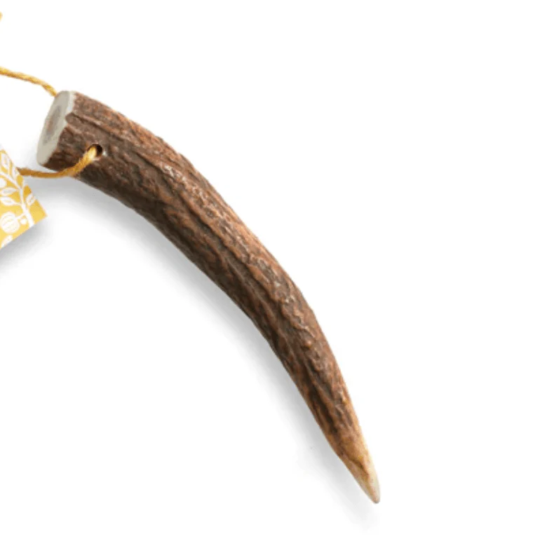 🦌 Original Antler Chew 🐾 - Image 4