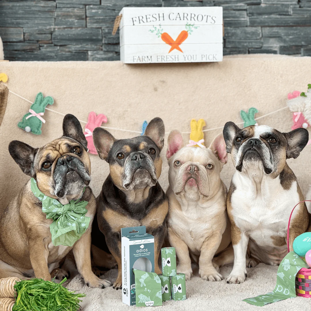 Spring - Compostable Dog Poo Bags 🐇 2026 drop - Image 6
