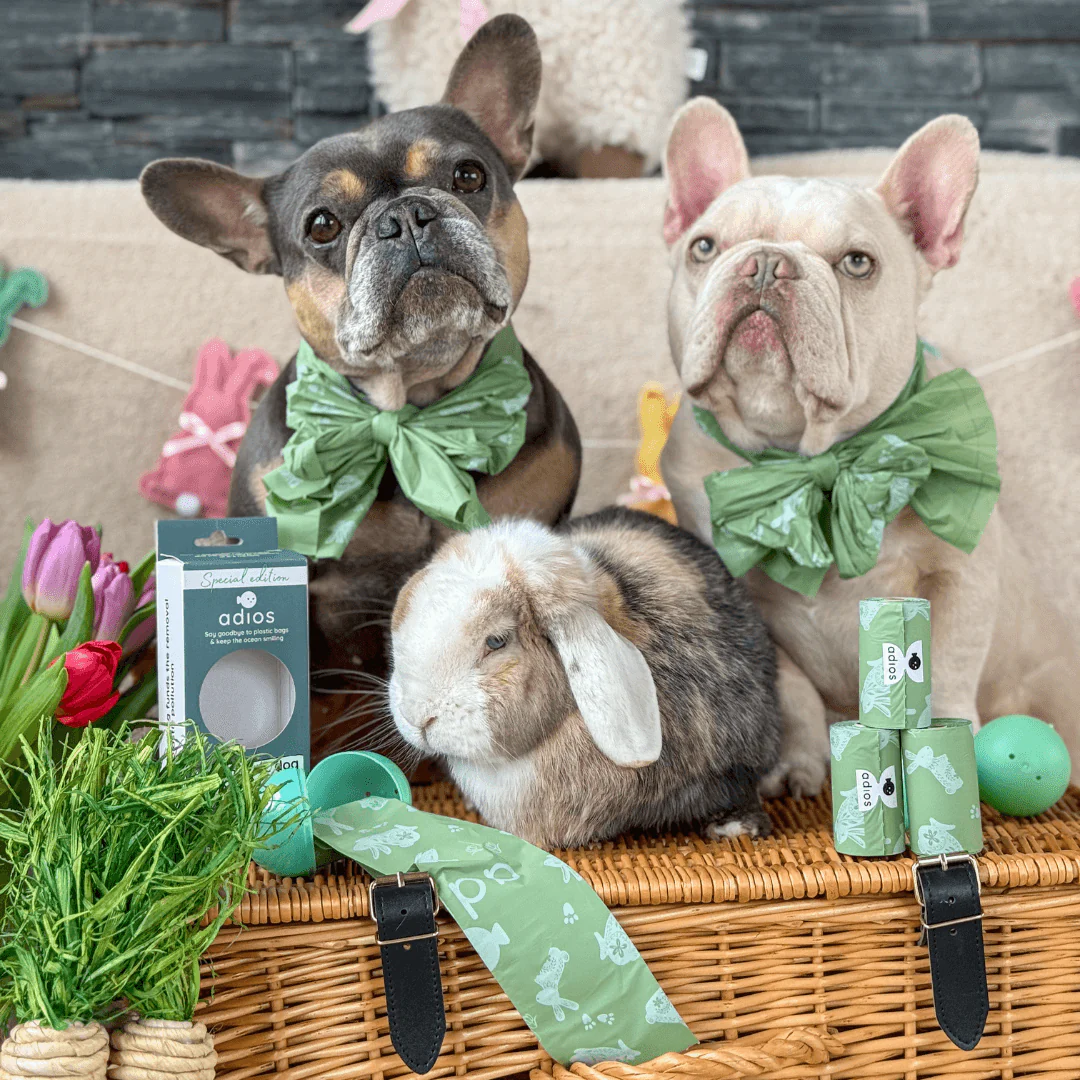 Spring - Compostable Dog Poo Bags 🐇 2026 drop - Image 8